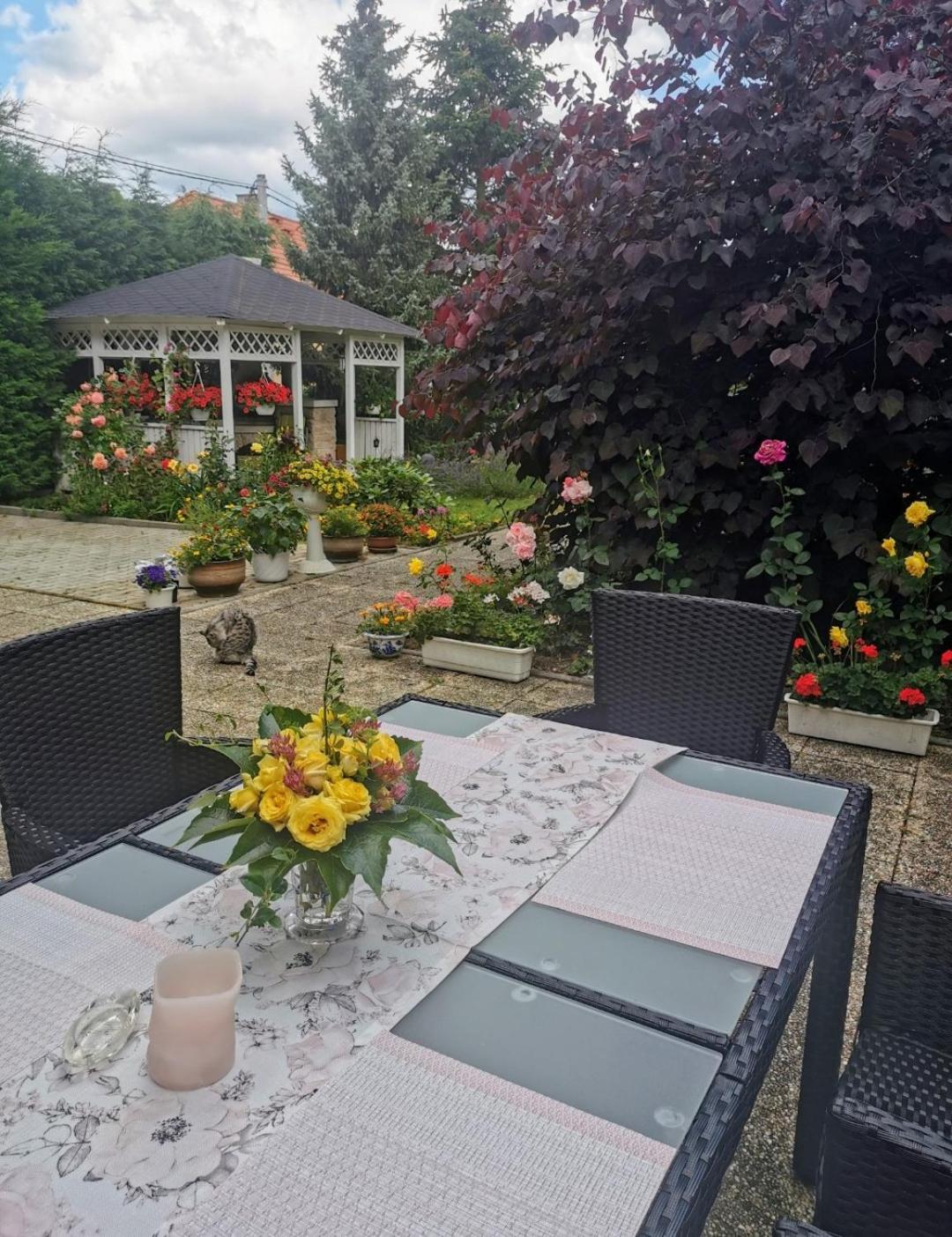 Homestay Svata Екстер'єр фото
